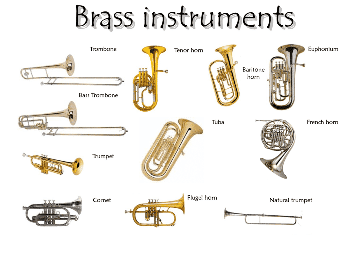 drum type instruments fall into the category of